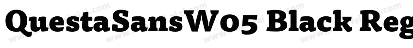 QuestaSansW05 Black Regular字体转换